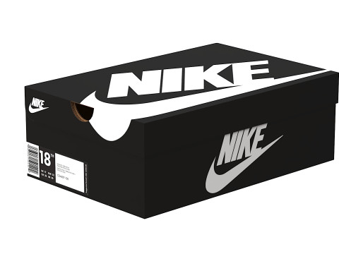 Nike Shoe Box 03 Modèle 3D
