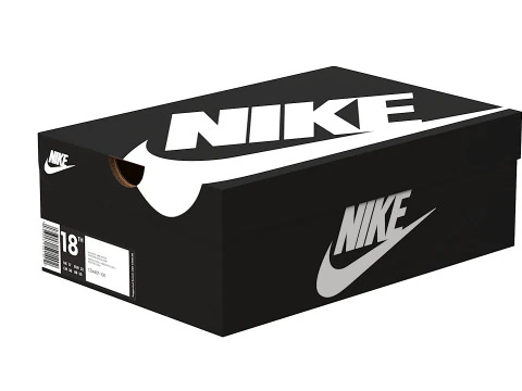 Nike Shoe Box 03 3D Model