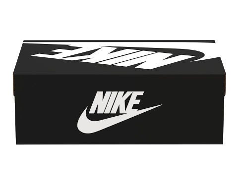 Nike Shoe Box 03 Modèle 3D