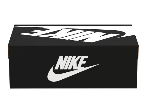 Nike Shoe Box 03 3D Model