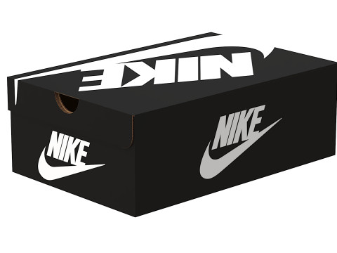 Nike Shoe Box 03 Modèle 3D