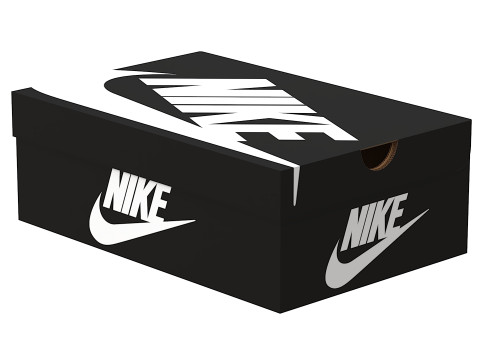 Nike Shoe Box 03 Modèle 3D