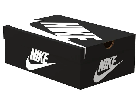 Nike Shoe Box 03 3D Model