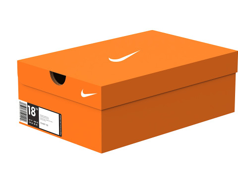 Nike Shoe Box 04 Model 3D