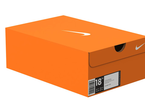 Nike Shoe Box 04 Model 3D