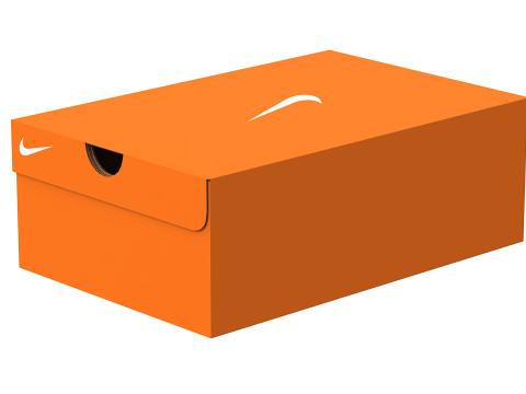 Nike Shoe Box 04 Model 3D