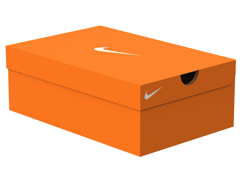 Nike Shoe Box 04 Model 3D