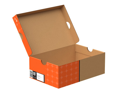 Nike Shoe Box 05 3D Model