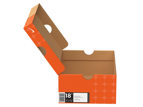 Nike Shoe Box 05 3D Model