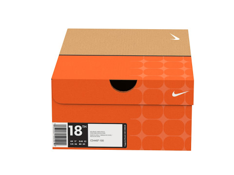 Nike Shoe Box 05 3D Model