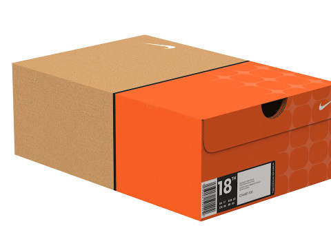 Nike Shoe Box 05 3D Model