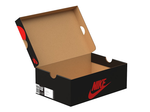 Nike Shoe Box 06 3D Model