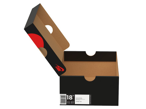 Nike Shoe Box 06 3D Model