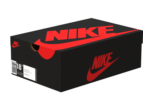 Nike Shoe Box 06 3D Model