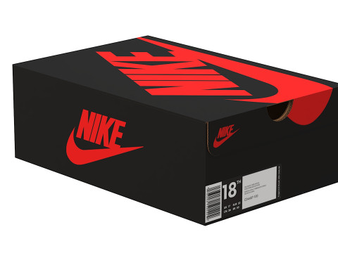 Nike Shoe Box 06 3D Model