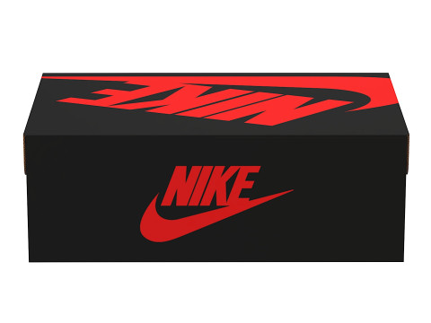 Nike Shoe Box 06 3D Model