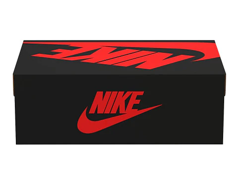 Nike Shoe Box 06 3D Model