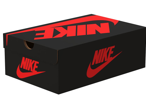 Nike Shoe Box 06 3D Model