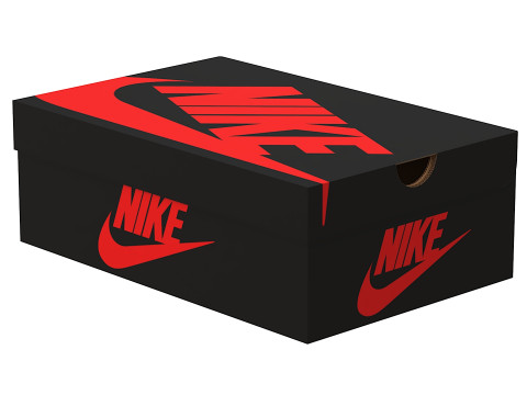 Nike Shoe Box 06 3D Model