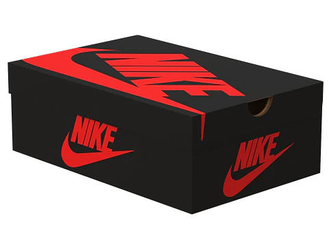 Nike Shoe Box 06 3D Model