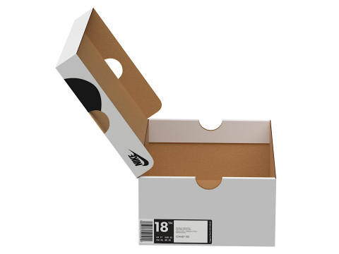 Nike Shoe Box 07 Modèle 3D
