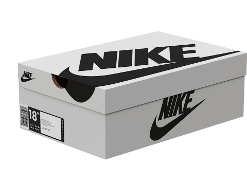 Nike Shoe Box 07 Modèle 3D