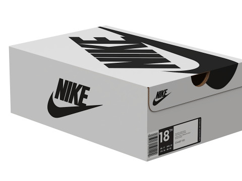 Nike Shoe Box 07 Modèle 3D
