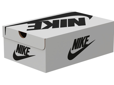 Nike Shoe Box 07 Modèle 3D