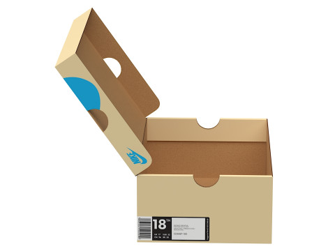 Nike Shoe Box 08 Modèle 3D