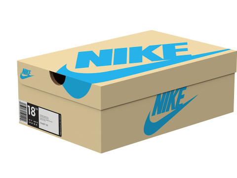 Nike Shoe Box 08 Modèle 3D