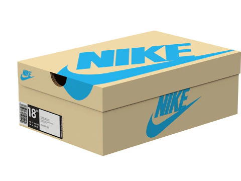 Nike Shoe Box 08 3D Model
