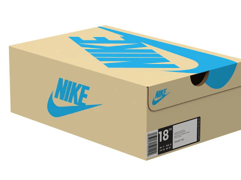 Nike Shoe Box 08 3D Model