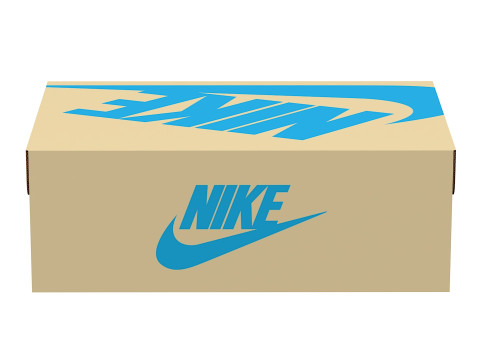Nike Shoe Box 08 Modèle 3D