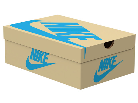 Nike Shoe Box 08 Modèle 3D