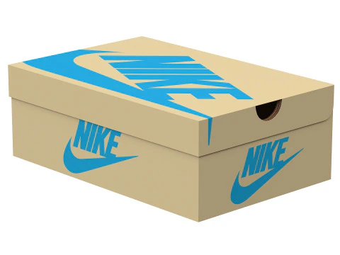 Nike Shoe Box 08 3D Model