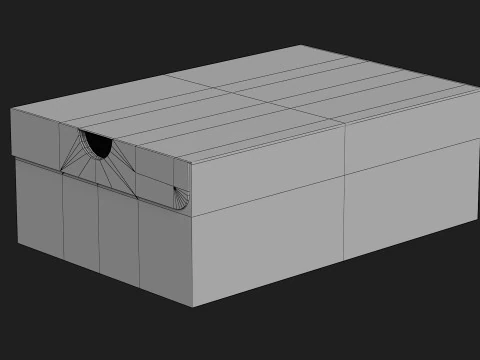 Nike Shoe Box 08 3D Model