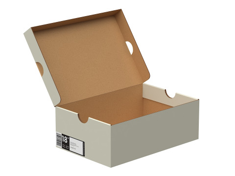 Nike Shoe Box 09 3D Модель