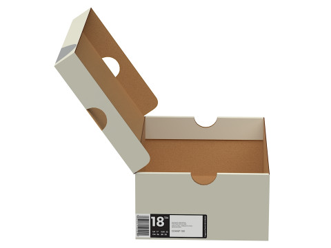 Nike Shoe Box 09 3D Модель