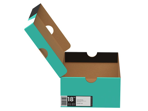 Nike Shoe Box 10 3D Модель