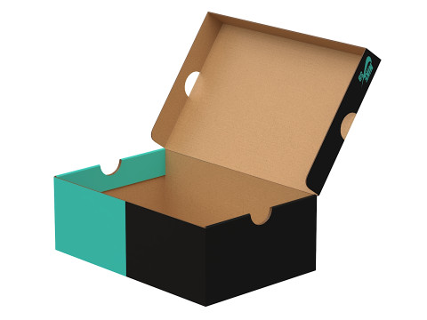 Nike Shoe Box 10 3D Модель