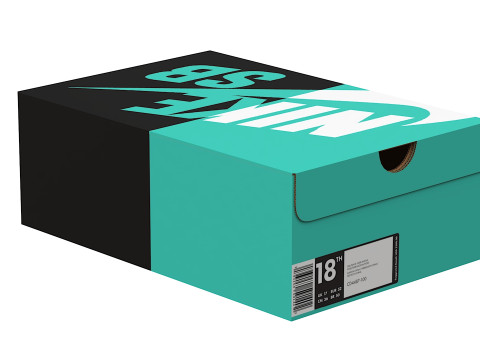 Nike Shoe Box 10 3D Модель