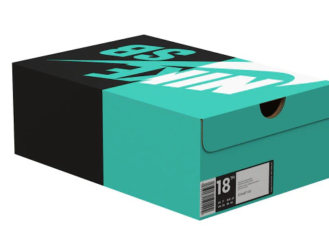 Nike Shoe Box 10 3D Model
