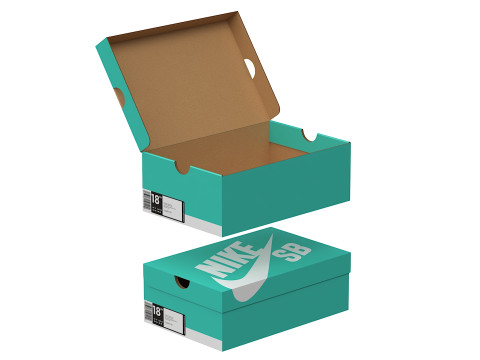 Nike Shoe Box 11 3D 模型