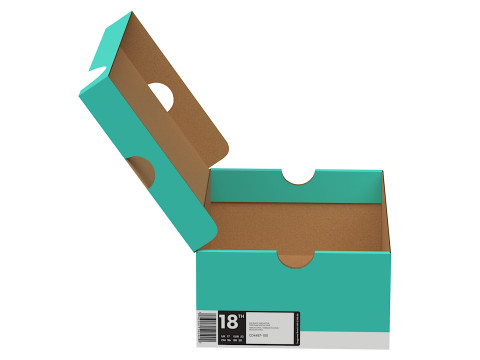 Nike Shoe Box 11 3D Model