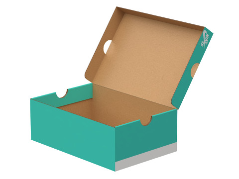 Nike Shoe Box 11 3D Model