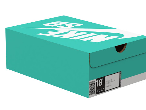 Nike Shoe Box 11 3D Model