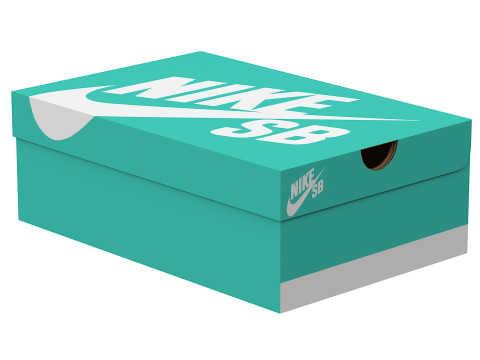 Nike Shoe Box 11 3D Model
