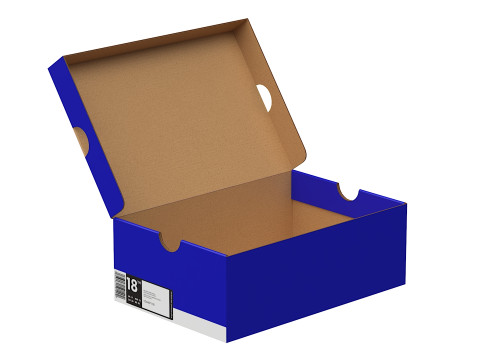 Nike Shoe Box 12 3D Model