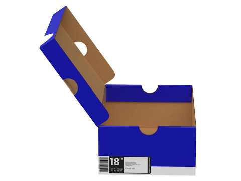 Nike Shoe Box 12 3D Model