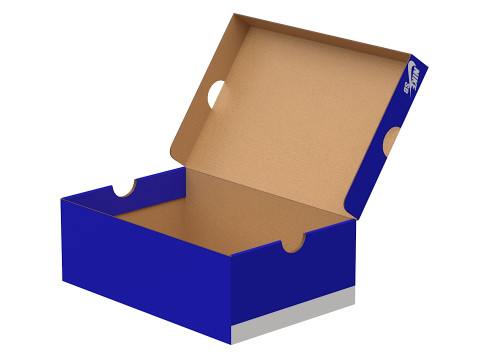Nike Shoe Box 12 3D Model